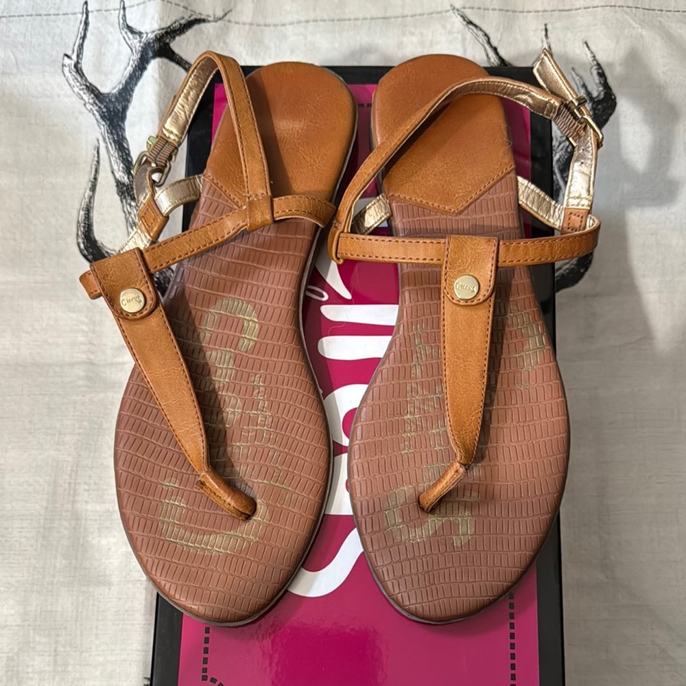 Circus by Sam Edelman Brown and Gold T-Strap Sandals